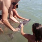 Bañistas con la cría de delfín varada en Mojácar