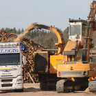 Imagen de archivo del astillado de la madera que recibe Forestalia para generar electricidad con la biomasa. L. DE LA MATA