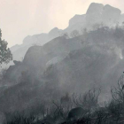 Ladera quemada en el incendio en la Reserva de Caza de Los Ancares en Porcarizas, el 17 de octubre del 2011.