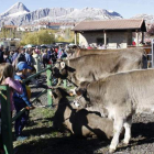 La feria congregó a muy buenos ejemplares de reses como las de vacuno. CAMPOS