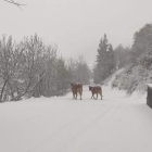 Un paraje de Posada de Valdeón, durante la nevada del pasado fin de semana. CAMPOS