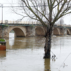 Consecuencias de la crecida del río, el pasado mes de diciembre, a la altura de Cebrones del Río.