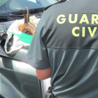 Los cazados escondieron la pieza en su vehículo. DL