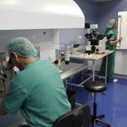 Dos profesionales realizan trabajos en el servicio de Ginecología de HM San Francisco. JESÚS F. SALVADORES