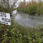 La temporada de pesca levantará el telón en los ríos de la provincia el 31 de marzo. DL