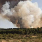Los incendios forestales han dejado más de siete mil quinientas hectáreas destruidas este verano en
