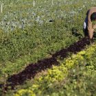 Un agricultor trabaja su finca de Matalobos del Páramo, en una imagen de archivo.