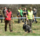 El Autonómico de perros de rastro sobre jabalí tiene este año como escenario único Anllares. CELA