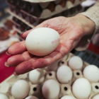 El veto a los huevos de gallinas enjauladas en Francia se inició a raíz de la divulgación de una imágenes en las que se veía su lamentable estado en una gran explotación.