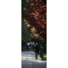El otoño tendrá temperaturas estables este año.