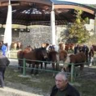 El caballo ha sido protagonista en las últimas ediciones de la feria