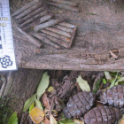 Las tres granadas y varios cartuchos hallados en Lario. DL
