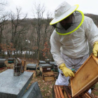 En León hay más de un millar de apicultores censados