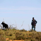 Imagen de un agente de la Guardia Civil durante la investigación en Castrogonzalo. EFE