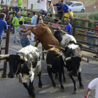 Los festejos taurinos dieron ayer comienzo con el primer encierro de los tres programados. ACACIO DÍAZ