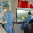 Dos profesionales trabajan en las nuevas instalaciones del servicio de Farmacia del Hospital.