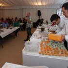 Dos chefs del Bierzo, Baldomero Sánchez y Miguel Martínez, presentaron ayer los sabores de su comarca a través de sus platos. RAMIRO