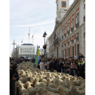 Los rebaños con 2.000 ovejas, a su paso por el centro de la capital.