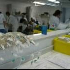 Servicio de oncología médica del Hospital de León