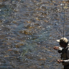 La temporada de pesca 2019 se presenta positiva. JESÚS F. SALVADORES