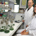 Los investigadores Mayte López y Alberto Sola representan al Instituto de Biotecnología en el proyecto internacional Inmugal.