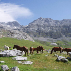 Picos de Europa es el único parque nacional que tiene la provincia. RUBÉN GONZÁLEZ