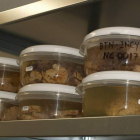 Muestras de cerebro conservadas en el Instituto de Neurociencias de Salamanca.