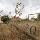 Los columpios abandonados entre la maleza, a la espera de llegar a un acuerdo con el parque.