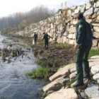 Un grupo de agentes medioambientales, peinando la orilla del Cúa en busca de truchas muertas.