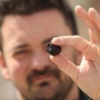 Carlos Pardo, con un ajo negro listo para comercializar. L. DE LA MATA