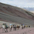 La caravana avanza por collados en el Chang Tang.