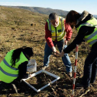 Participantes del proyecto europeo EnerbioScrub estudian el impacto sobre el suelo. ICAL