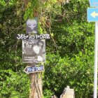 La figura de un alienígena y un cartel ofreciendo servicios de espiritismo en una de las calles de Cassadaga, en el condado Volusia, en el centro de Florida.