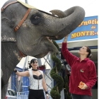 La princesa Estefanía de Mónaco acaricia a un elefante el pasado enero.