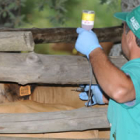 Un veterinario vacuna al ganado bovino
