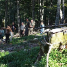 Los técnicos del prograna Life de Polonia estuvieron acompañados por los responsables del proyecto que se lleva a cabo en la Cordillera Cantábrica. DL
