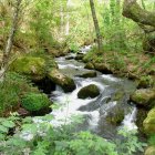 El río Oza.
