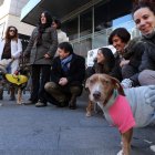 Perros que han pasado por el albergue canino, ayer con el alcalde, en el centro, en Lazúrtegui.