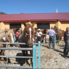 Las reses de equino fueron las protagonistas de la feria de Puebla de Lillo.