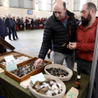 La Feria de Gallo de Pluma y Mosca Artificial contó con un rotundo éxito de público.  MARCIANO PEREZ