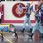 ‘Miura’, la cabra de la legión, ha desfilado en el día de la Hispanidad.