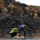 La Guardia Civil investiga en el lugar de origen del incendio de Navalacruz. RAÚL SANCHIDRIÁN