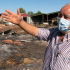 Emilio Torrubias, un ganadero de Sotalvo afectado por el incendio de Ávila. RAÚL SANCHIDRIÁN