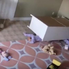 Captura del video en el que una cómoda aplasta a dos gemelos de Utah.