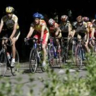 Varios ciclistas, en un momento del recorrido del Trofeo Caja España de Ciclismo