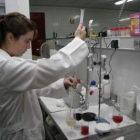 El Edificio Tecnológico del campus de Ponferrada acogerá el Instituto de Investigación de la Viña y