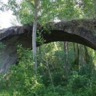 Puente Blanco de Villahibiera, rodeado de vegetación.