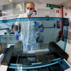 Un técnico de laboratorio trabaja con muestras de test serológicos en Navarra. JESÚS DIGES