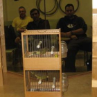 Algunos de los pájaros que participarán en el concurso.