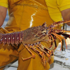 El restaurante Charlottes Legendary Lobster Pound prefiere colocar con marihuana a las langostas antes de cocinarlas
